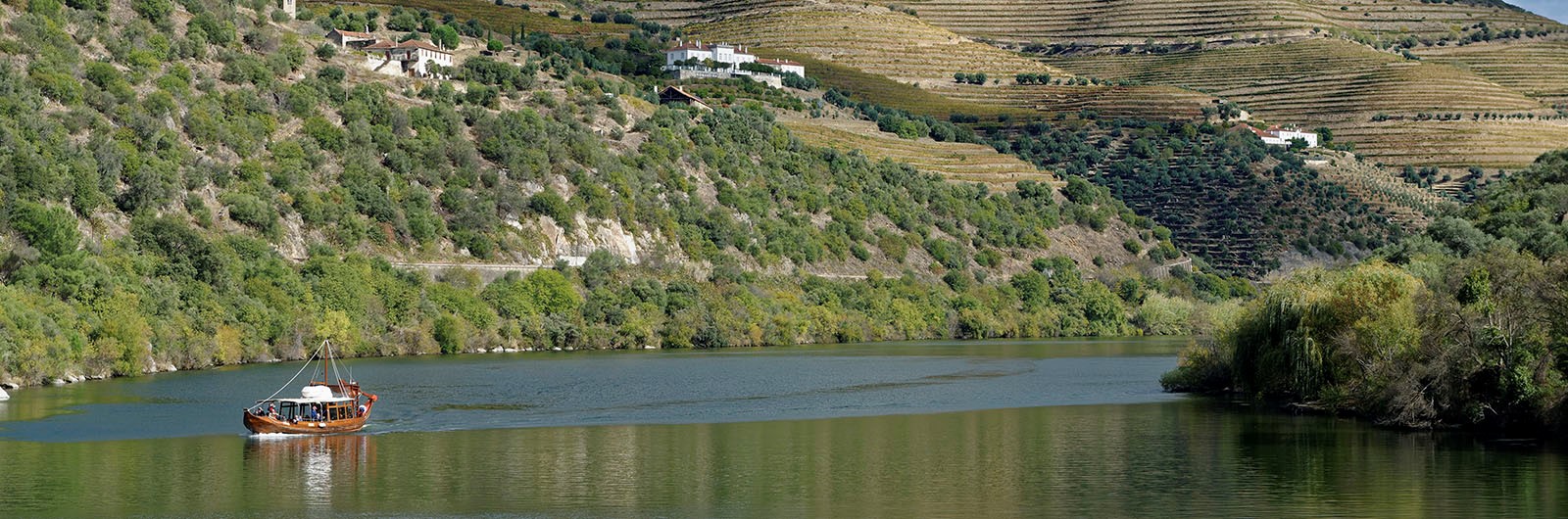 037panorama